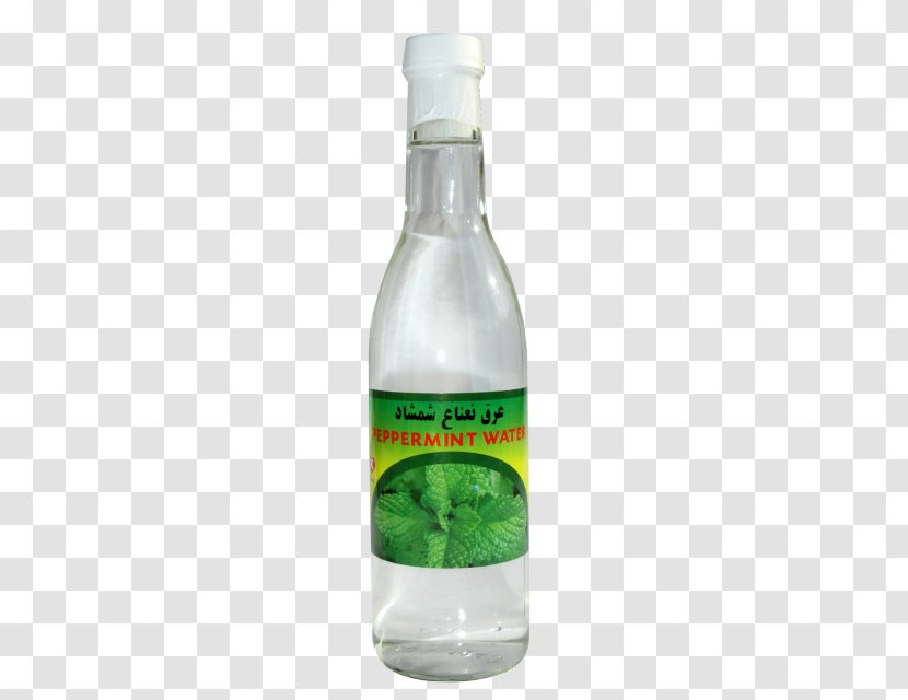 Drink Peppermint Food Liquid Juice - Shemshad - Mint Water Transparent PNG