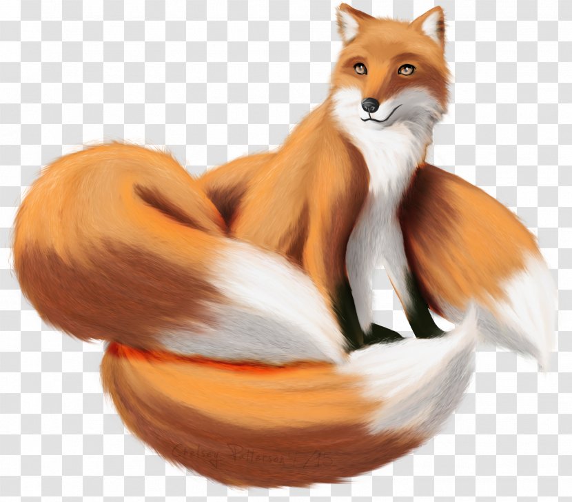 Red Fox Fur News - Carnivoran - Spirit Transparent PNG