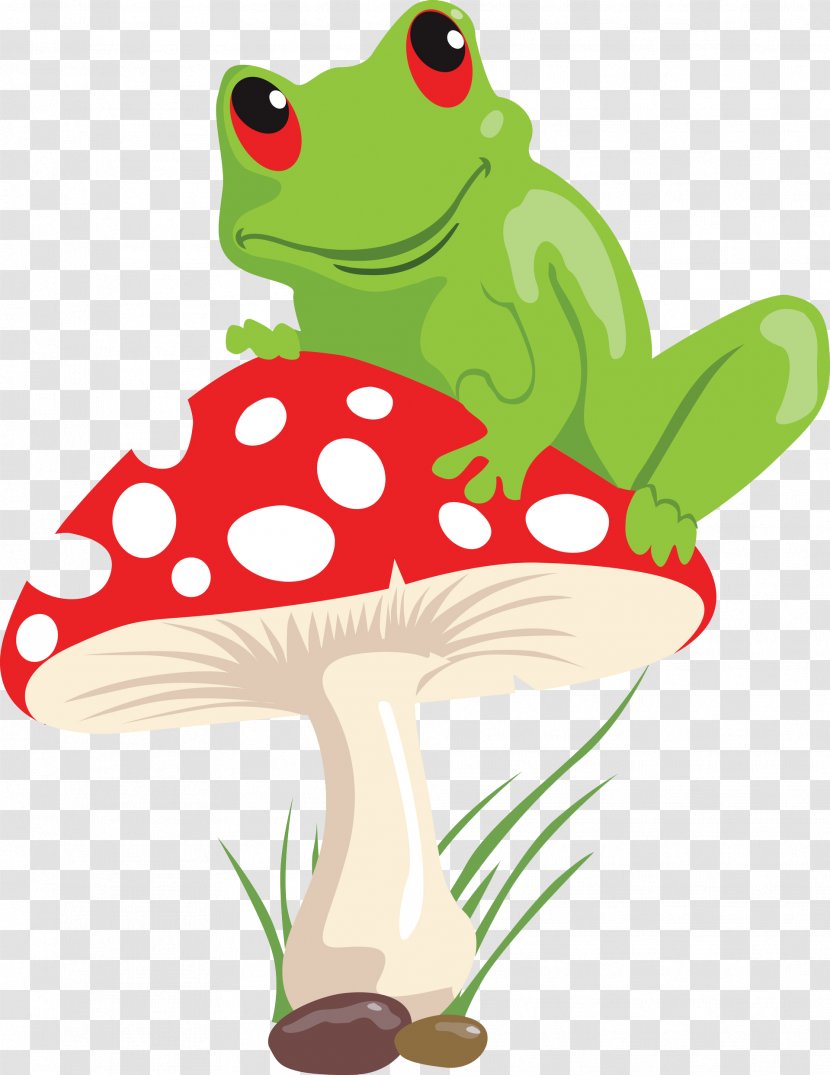 Frog Mushroom Lithobates Clamitans Illustration - Lying On The Red Transparent PNG