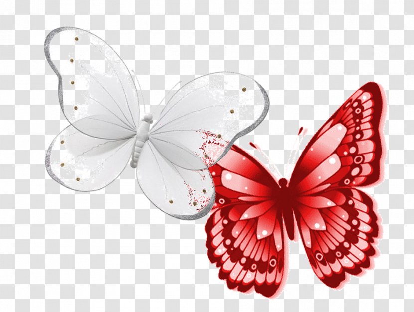 Butterfly Drawing Clip Art - I-D Transparent PNG
