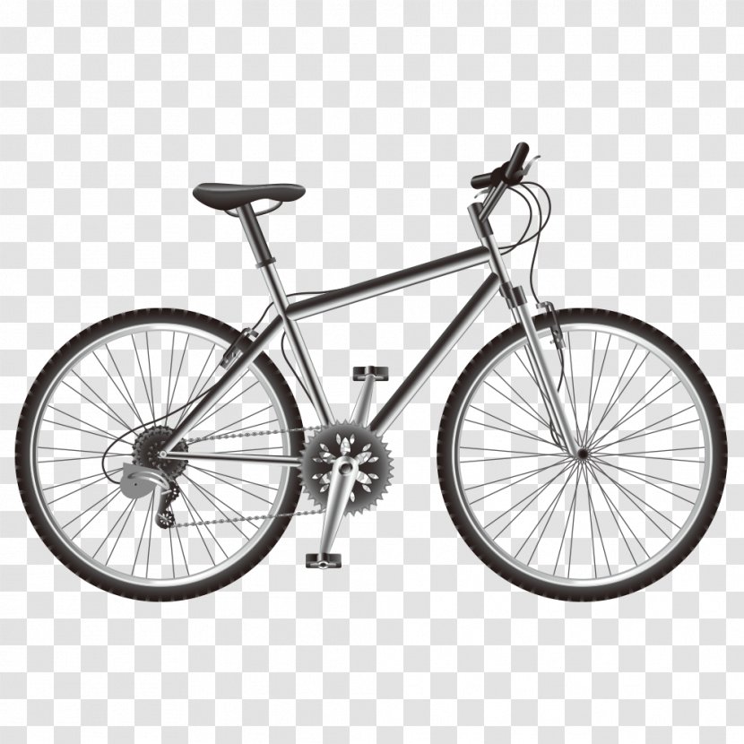 Bicycle Wheel Cycling Mountain Bike Transparent PNG