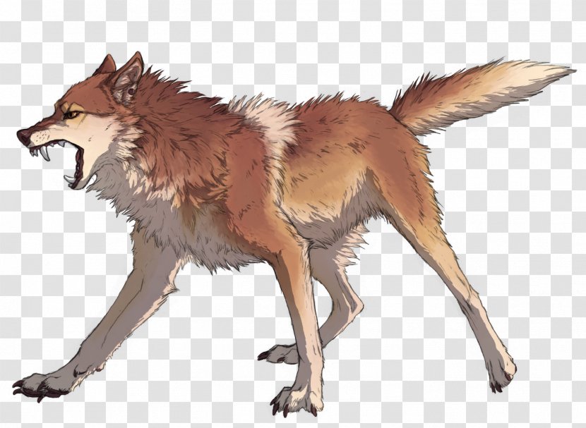 Coyote Dingo Dhole Red Fox Canis Ferox Transparent PNG