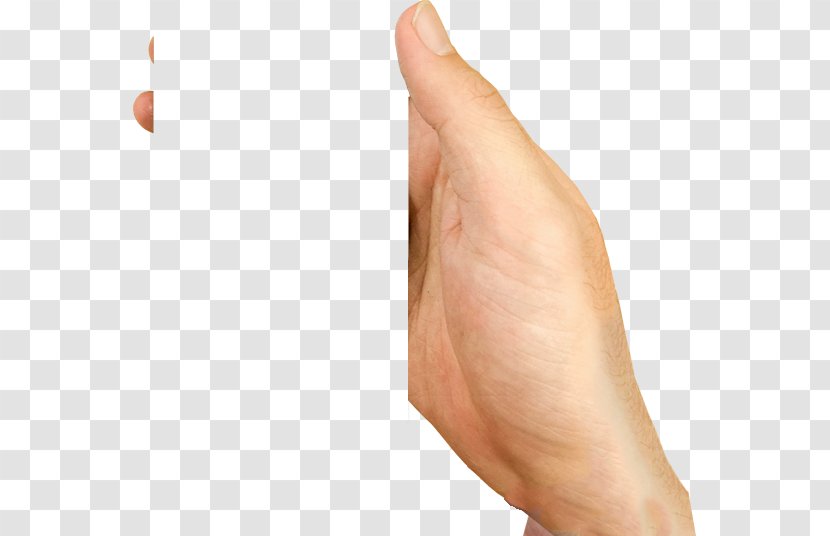 Thumb Close-up - Sign Language - Hand Lesson Transparent PNG