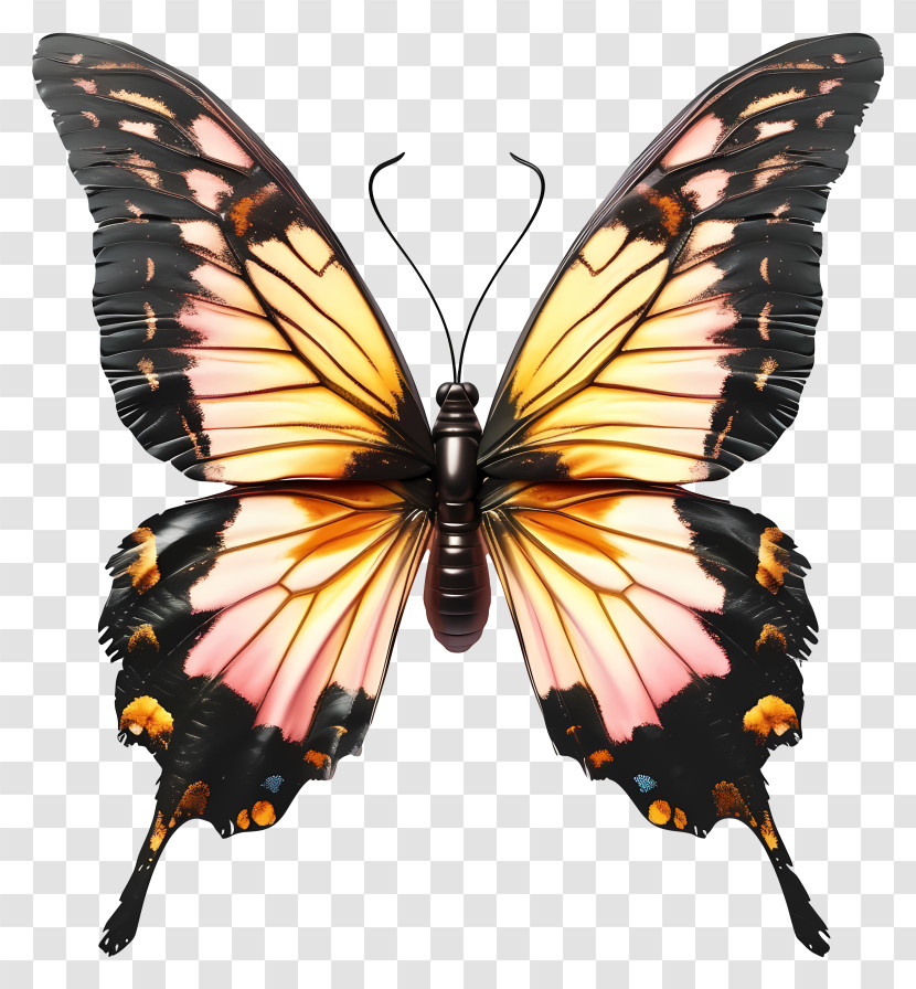 Realistic Elegant Butterfly - Realistic Colorful Butterfly With Open Wings Transparent PNG