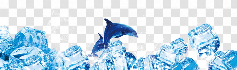 Blue Ice Dolphin Typeface - Summer Transparent PNG