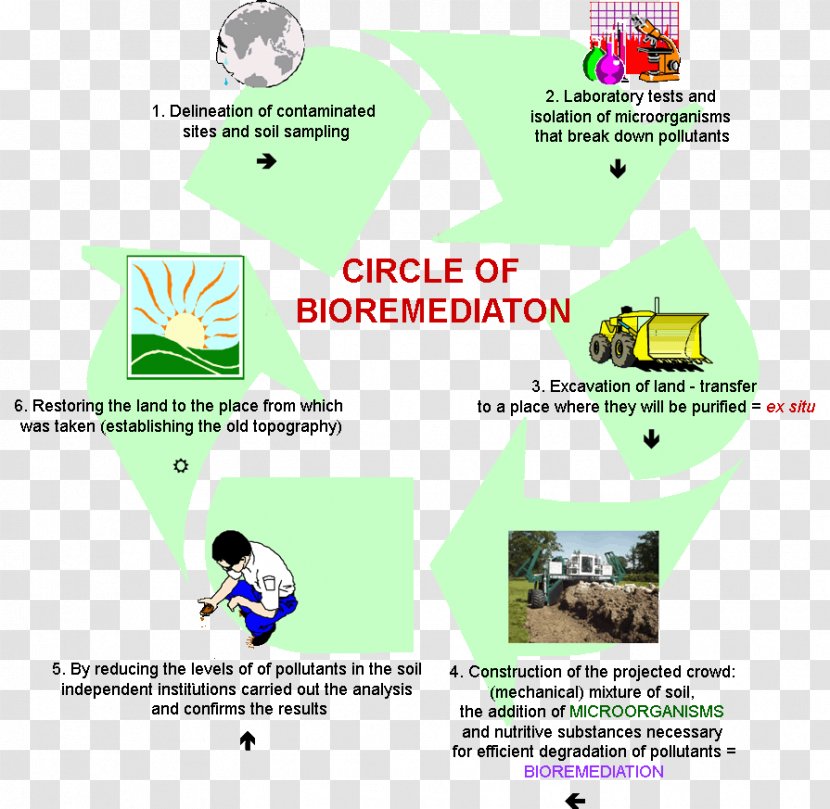 Bioremediation Biology Phenols Pollutant Landfarming - Technology Transparent PNG