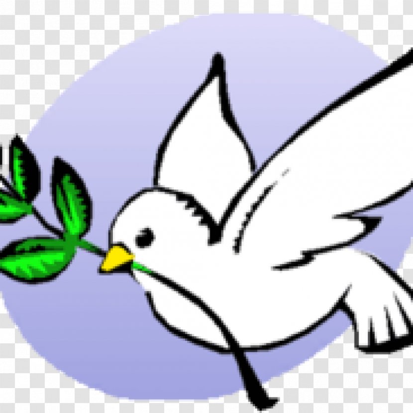 International Day Of Peace Columbidae World Nova Scotia Voice Women - United Nations - Beak Transparent PNG