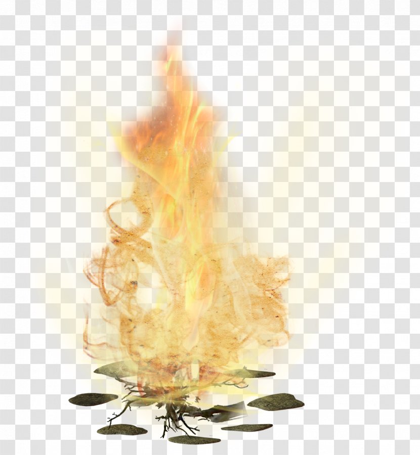 Flame Fireplace - Tree - Fire Transparent PNG