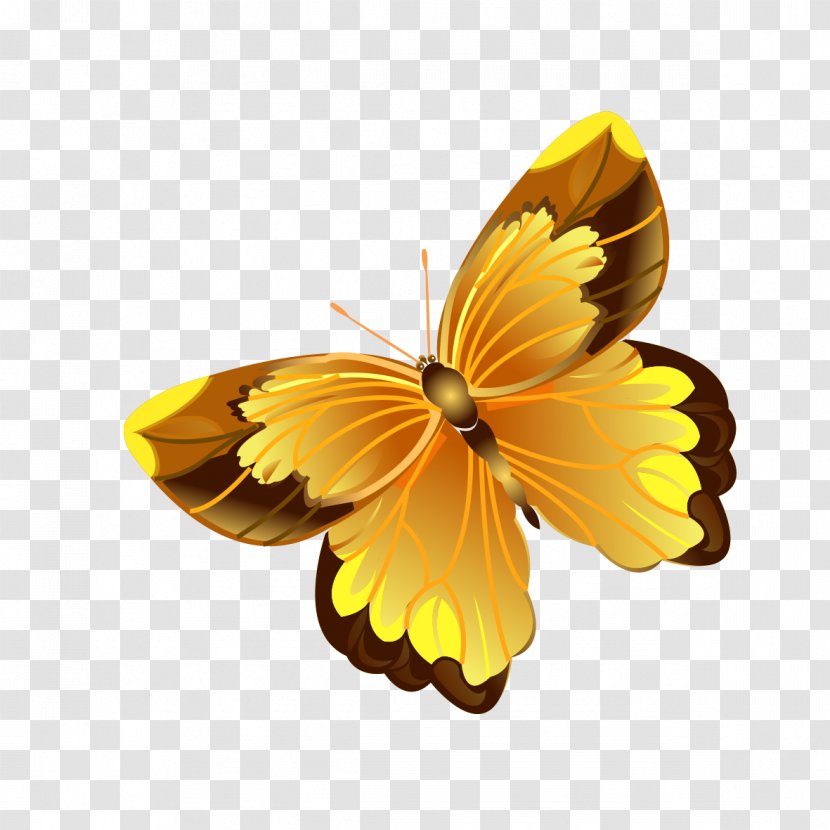 Butterfly Software Wallpaper - Symmetry - Cartoon Yellow Transparent PNG