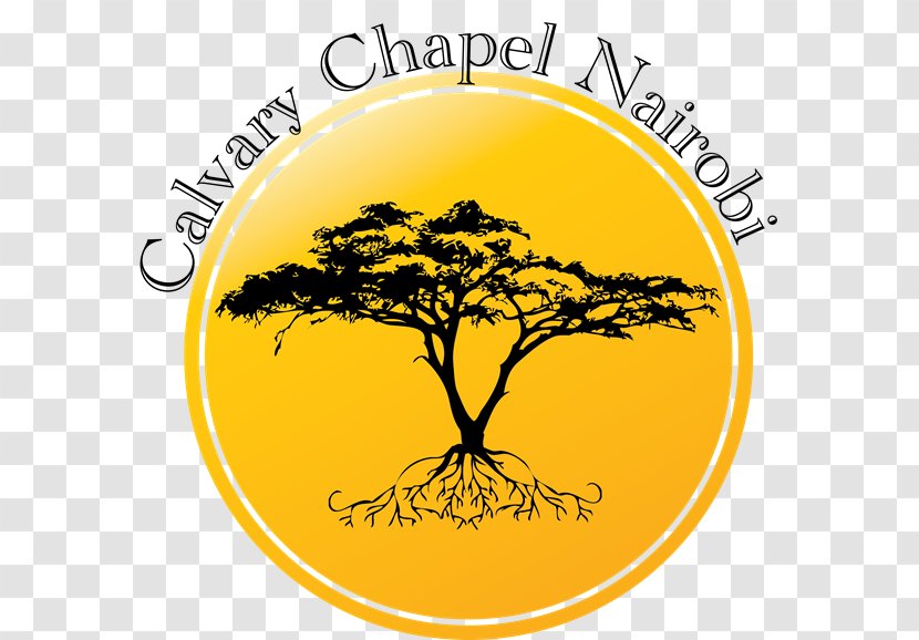 Bible Calvary Chapel Nairobi, Kenya Art Golden Springs - Work Of Transparent PNG