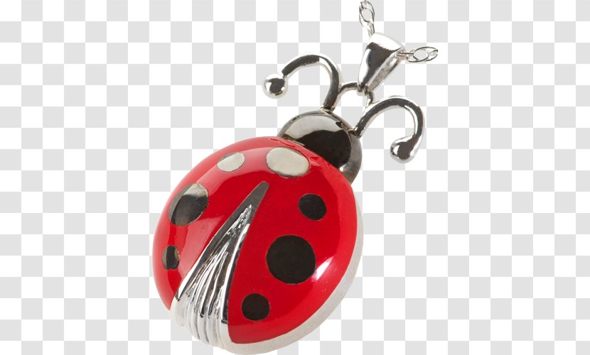 Ladybird Beetle Earring Lucky Ladybug Charms & Pendants Jewellery - Earrings Transparent PNG