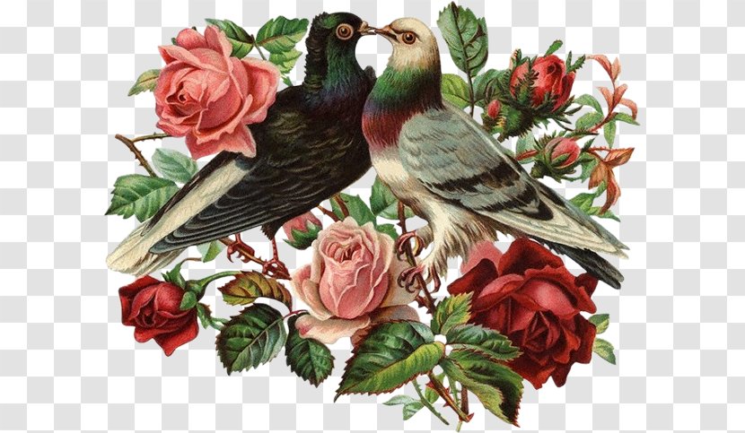 Bird Cross-stitch Victorian Era Berlin Wool Work Clip Art - Holly Transparent PNG