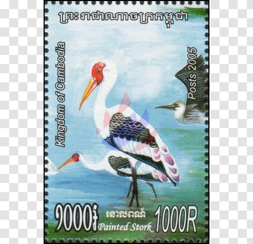 Stork Bird Advertising Beak Fauna - Organism Transparent PNG