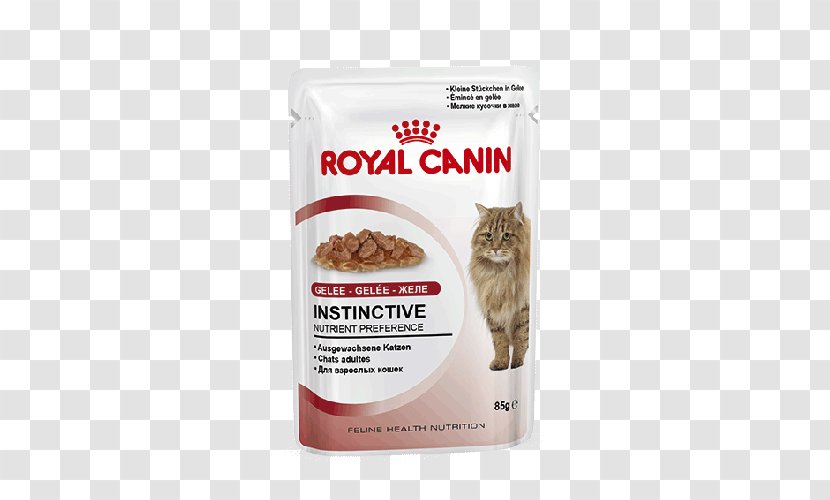 Cat Food Dog Royal Canin Kitten Feline Health Nutrition Dry - Flavor Transparent PNG