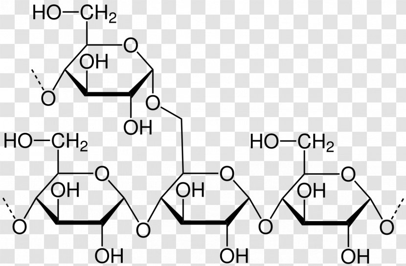 Amylopectin Haworth Projection Starch Amylose Polysaccharide - 673 Transparent PNG