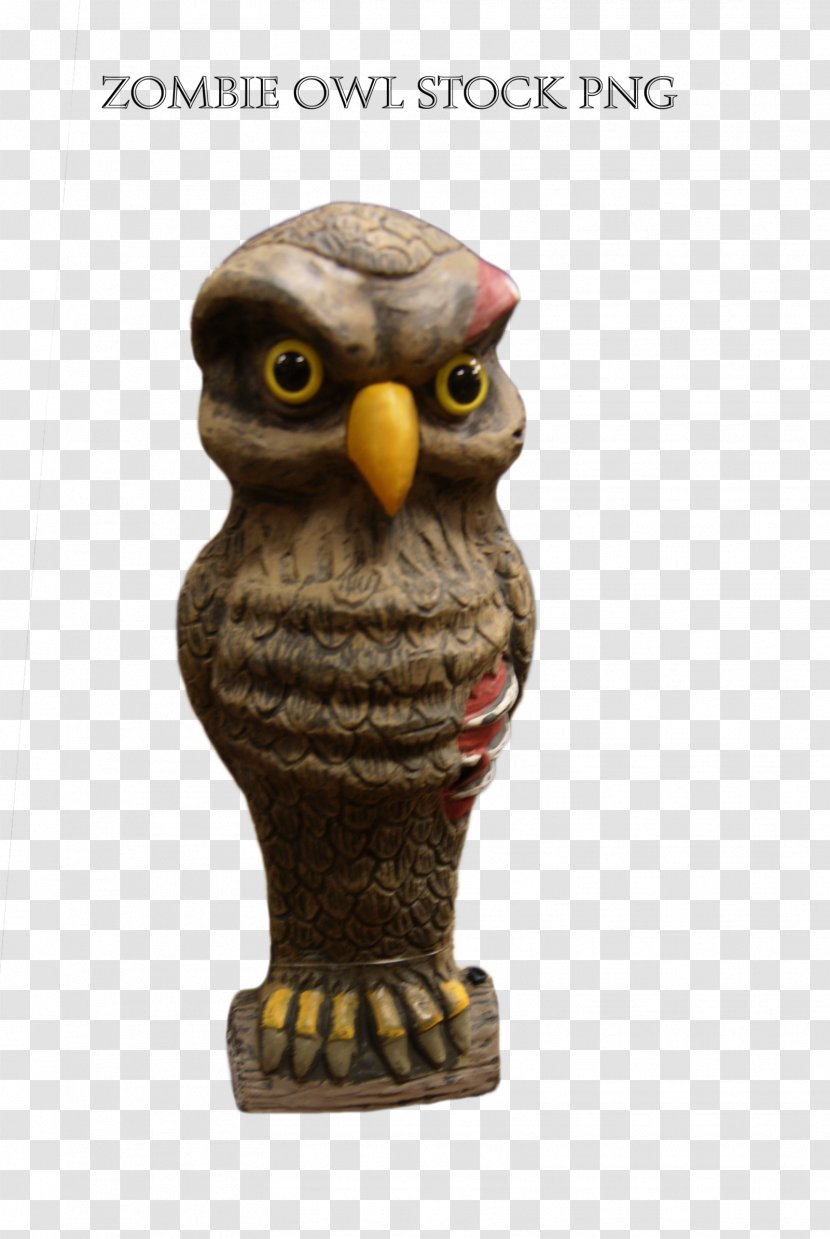 Owl Beak - Frame Transparent PNG