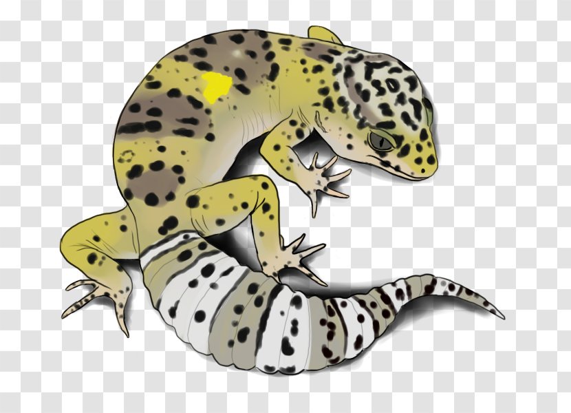 Gecko Frog Terrestrial Animal - Common Leopard Transparent PNG