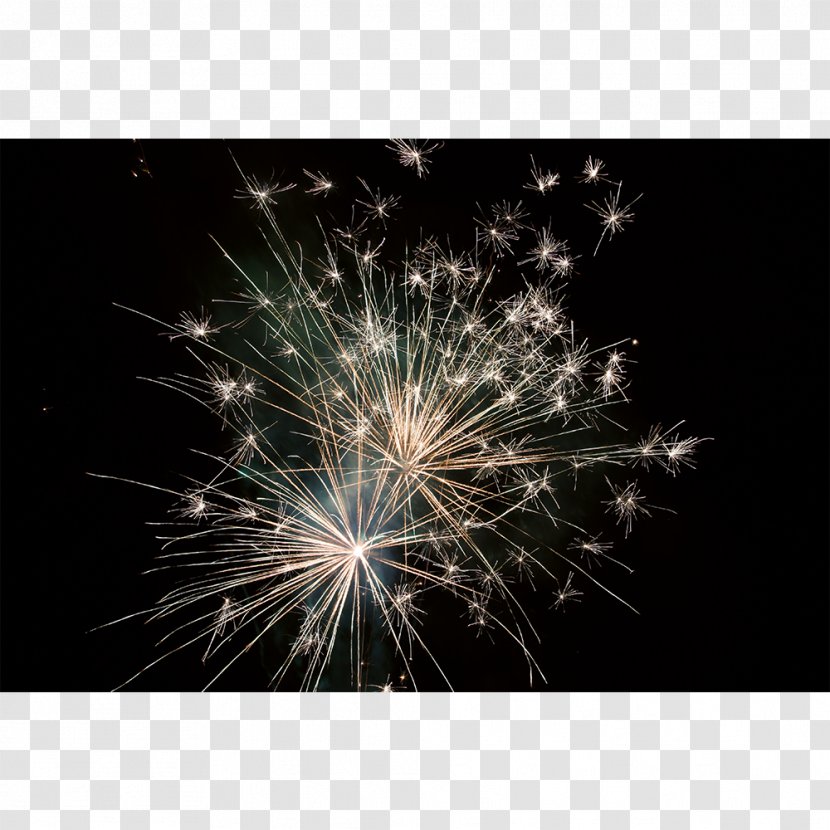 Fireworks Sparkler Desktop Wallpaper Stock Photography - Event - Time Machine Transparent PNG