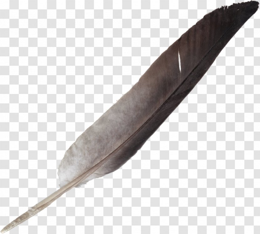 Feather Quill Clip Art Transparent PNG