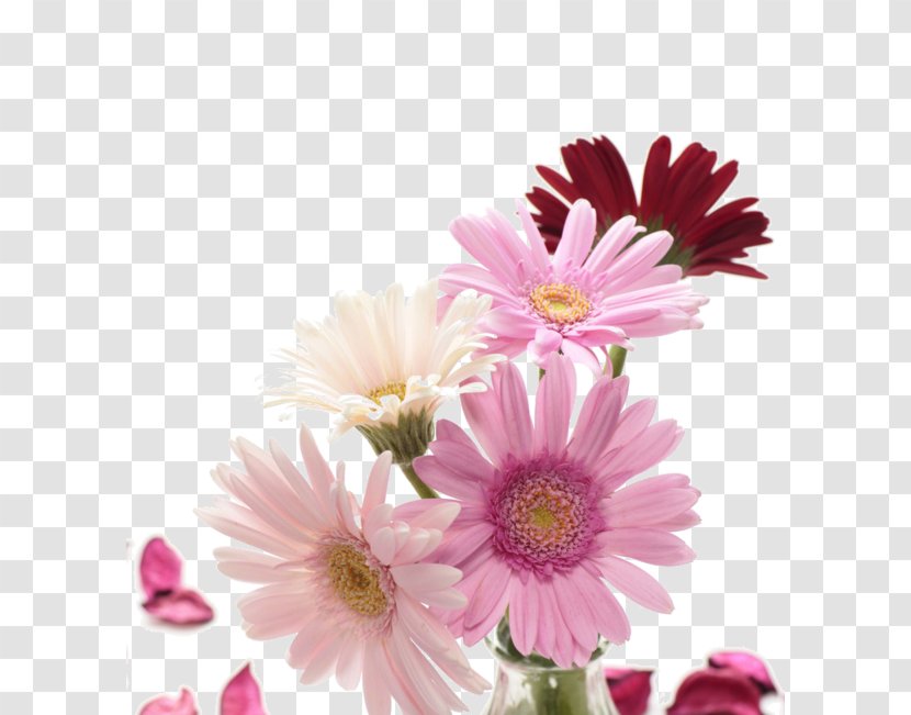 Flower Bouquet Transvaal Daisy Garden Roses Clip Art - Arranging - Hand-painted Chrysanthemum Transparent PNG