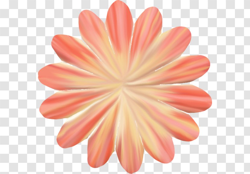 Royalty-free Clip Art - Daisy Family - Flower Transparent PNG