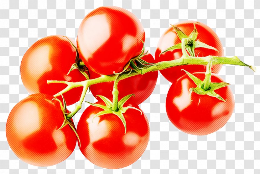 Tomato - Natural Foods - Plum Cherry Tomatoes Transparent PNG