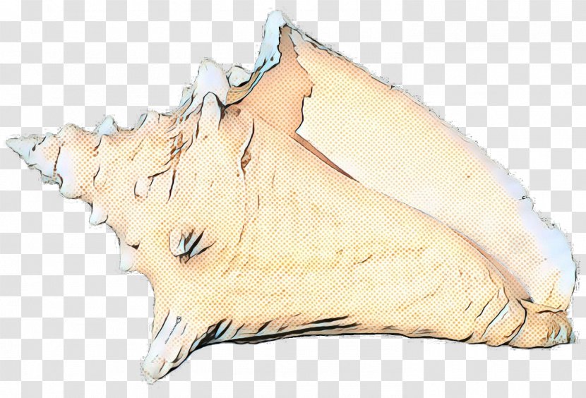 Shankha Conch Jaw Transparent PNG