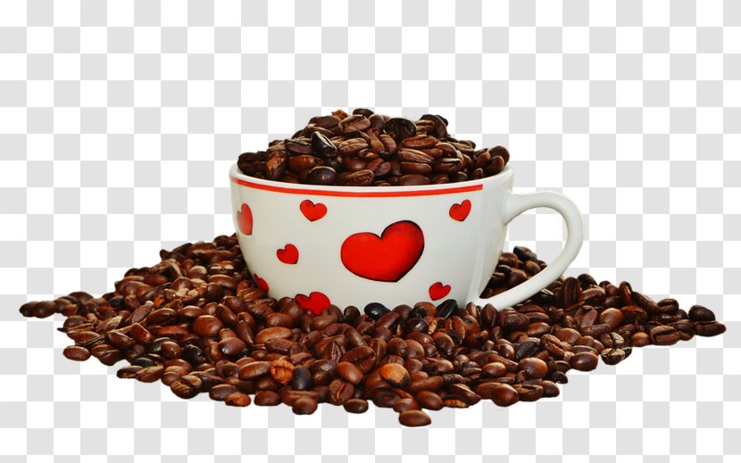 Coffee Roasting Cafe Tea Food - Jamaican Blue Mountain - Coffe Been Transparent PNG