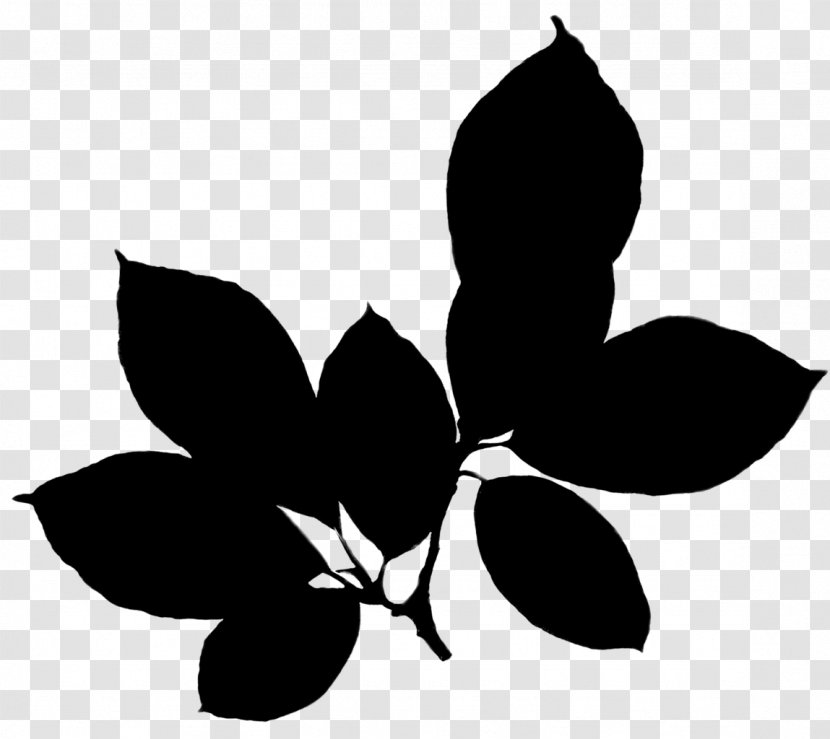 Leaf Clip Art Plant Stem Silhouette Flowering - Flower - Blackandwhite Transparent PNG