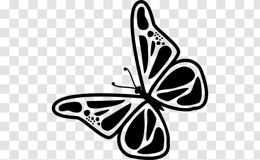 Butterfly Brush-footed Butterflies Insect Drawing Clip Art - Black And White Transparent PNG
