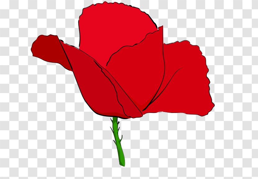 Remembrance Poppy Common Clip Art - Plant - Red Poppies Transparent PNG
