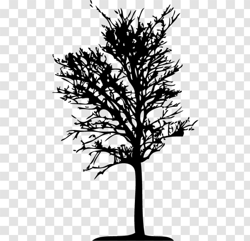 Family Tree Silhouette - Pine - Blackandwhite Transparent PNG