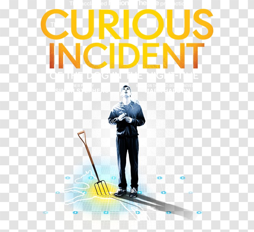 The Curious Incident Of Dog In Night-Time: Play Royal National Theatre - Is Paying A New Year Call Transparent PNG