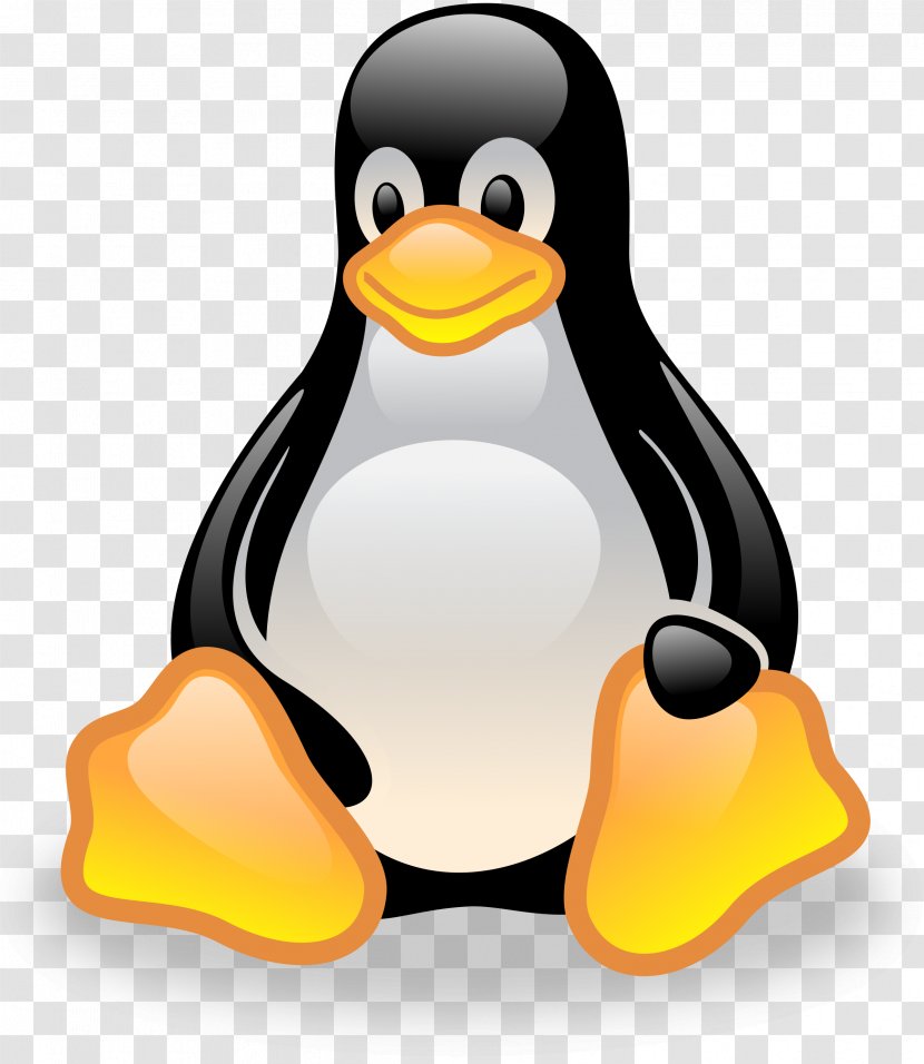 Clip Art File Format Image - Flightless Bird - Pinguin Transparent PNG