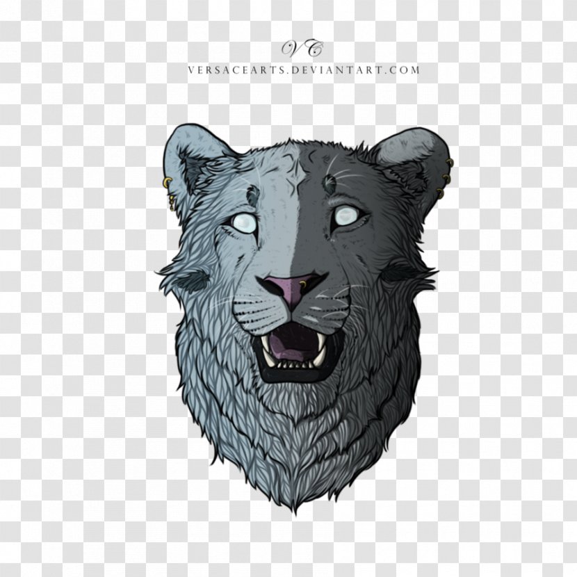 Whiskers Lion Snout Puma Black Panther - Big Cats Transparent PNG