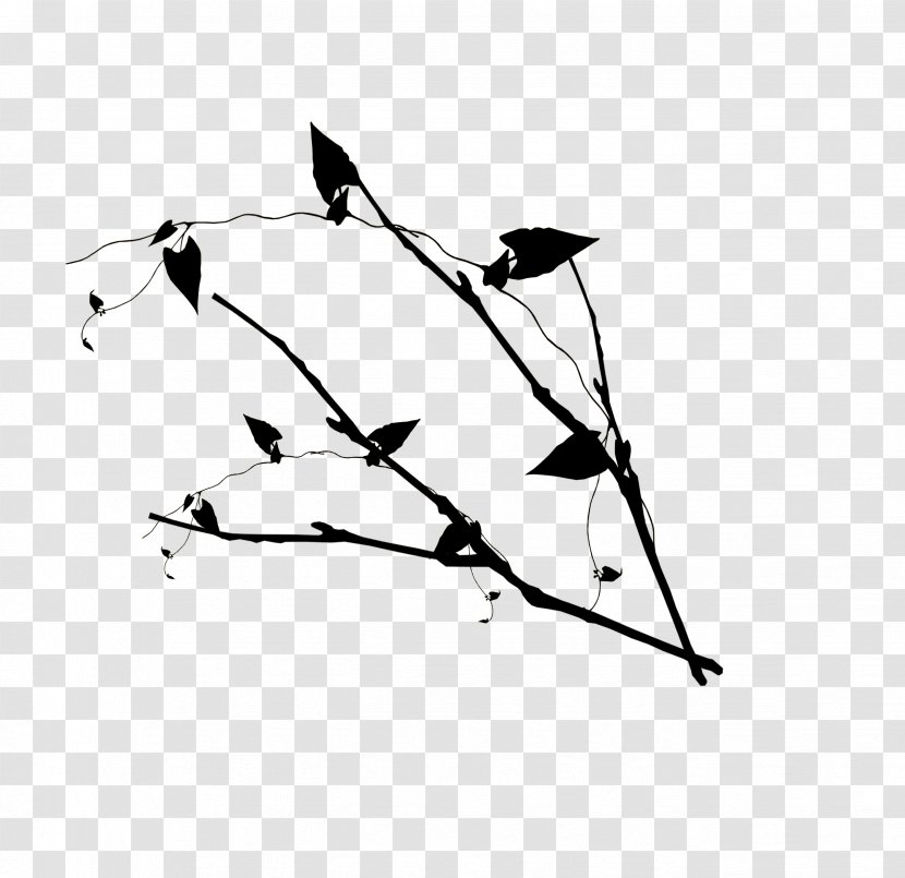 Twig Leaf Drawing Clip Art - Point - Leaves Branches Transparent PNG
