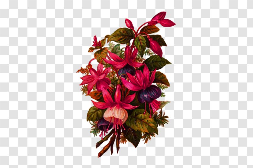 Clip Art - Floral Design - Bouquet Transparent PNG