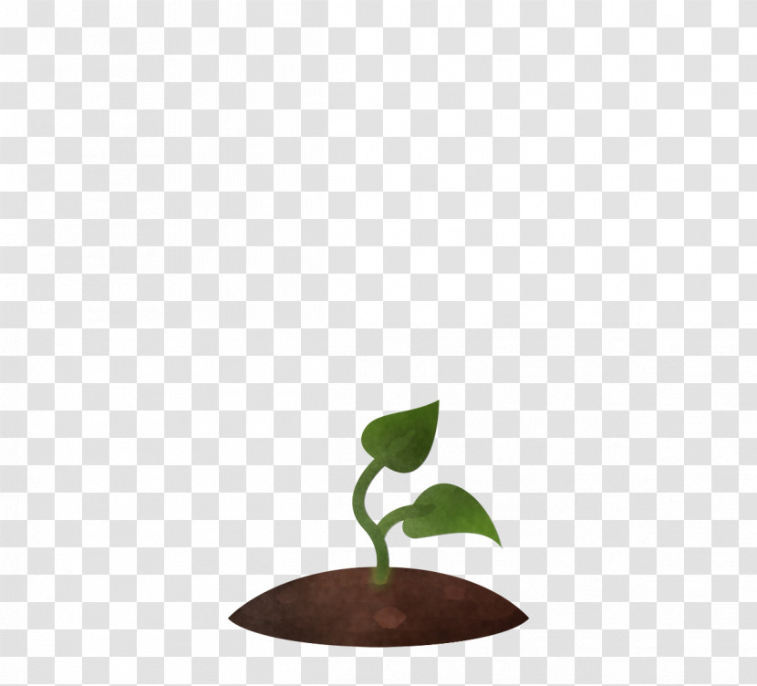 Leaf Flowerpot Tree Science Plant Structure Transparent PNG