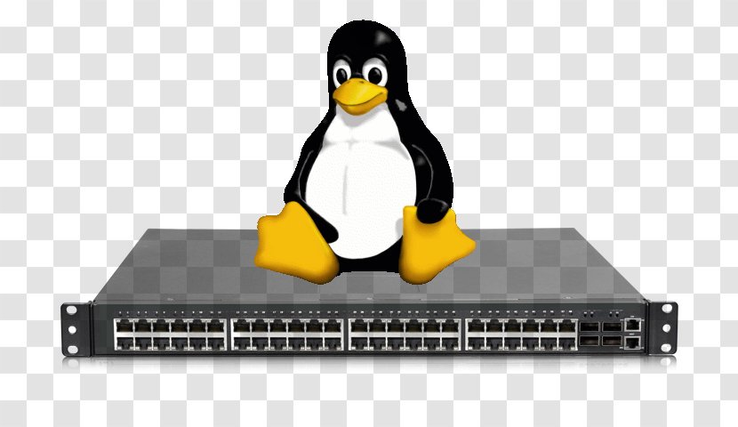 Linux Computer Network Open-source Software Model Operating Systems - Penguin Transparent PNG