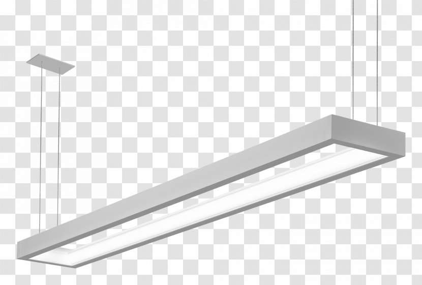 Light Fixture Architectural Lighting Design NERA Economic Consulting - Nera Transparent PNG