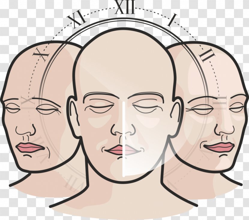 Facial Hair Cheek Eye Chin Forehead - Frame Transparent PNG
