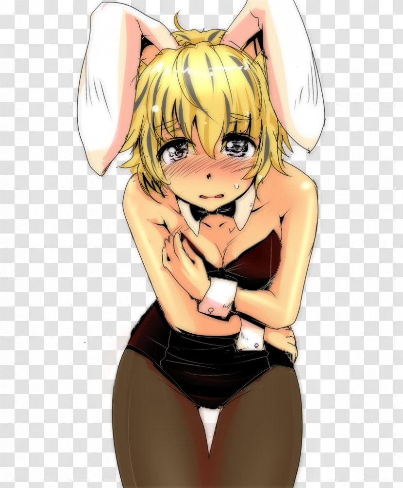 Touhou Project Blog Desktop Wallpaper Image Illustration - Frame - Bunny Ears Transparent PNG