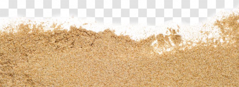 Reading Straw Grasses Cereal - Tree - Sand Picture Transparent PNG