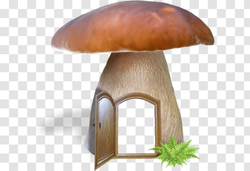Edible Mushroom Fungus Common - Autumn Transparent PNG
