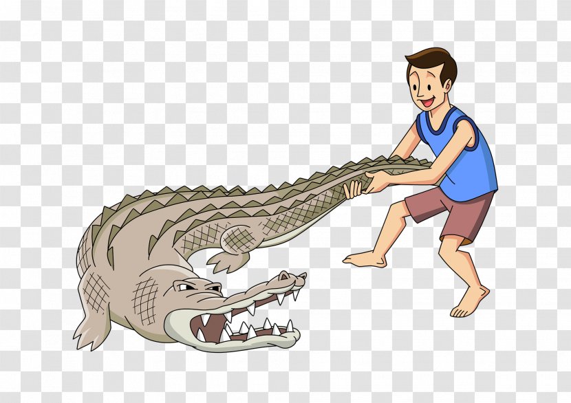 Crocodile Alligators Alligator Wrestling Velociraptor Image - Cartoon Transparent PNG