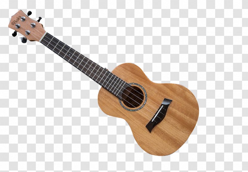 Ukulele Acoustic Guitar - Watercolor Transparent PNG