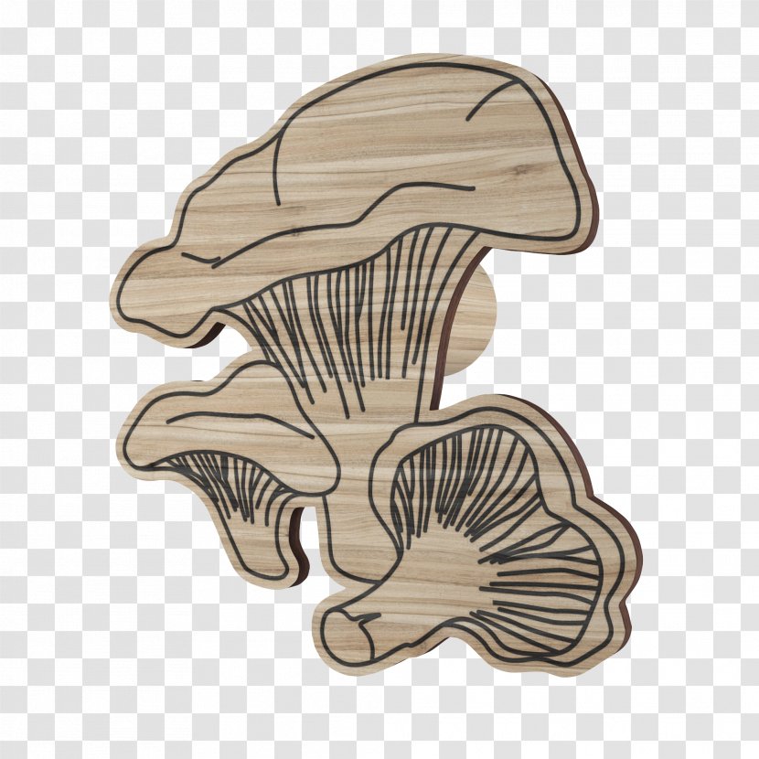 Wood /m/083vt Cartoon - Organism Transparent PNG