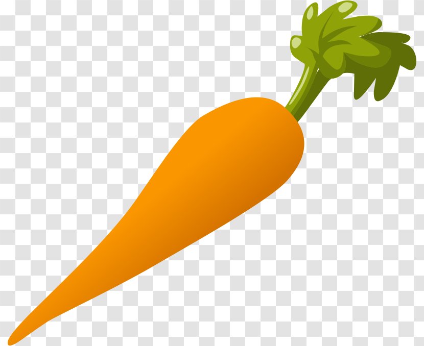 Carrot Salad Clip Art - Vegetable - Cliparts Transparent PNG