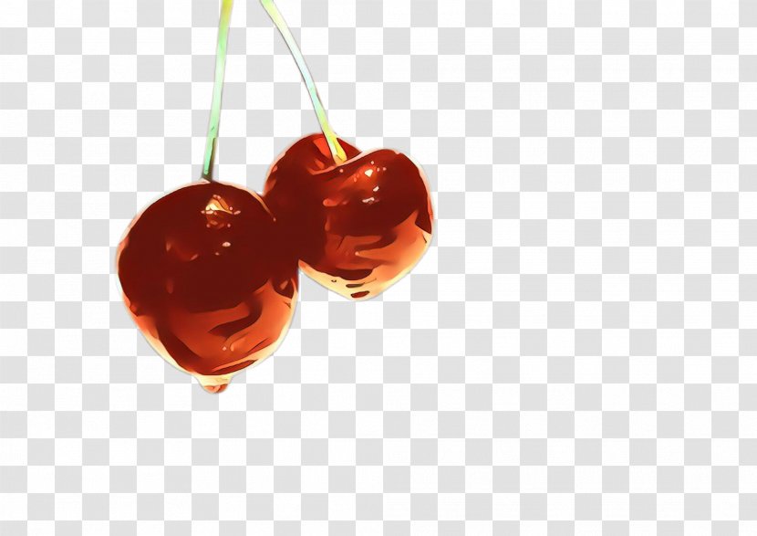 Plant Cherry Tree Fruit Transparent PNG