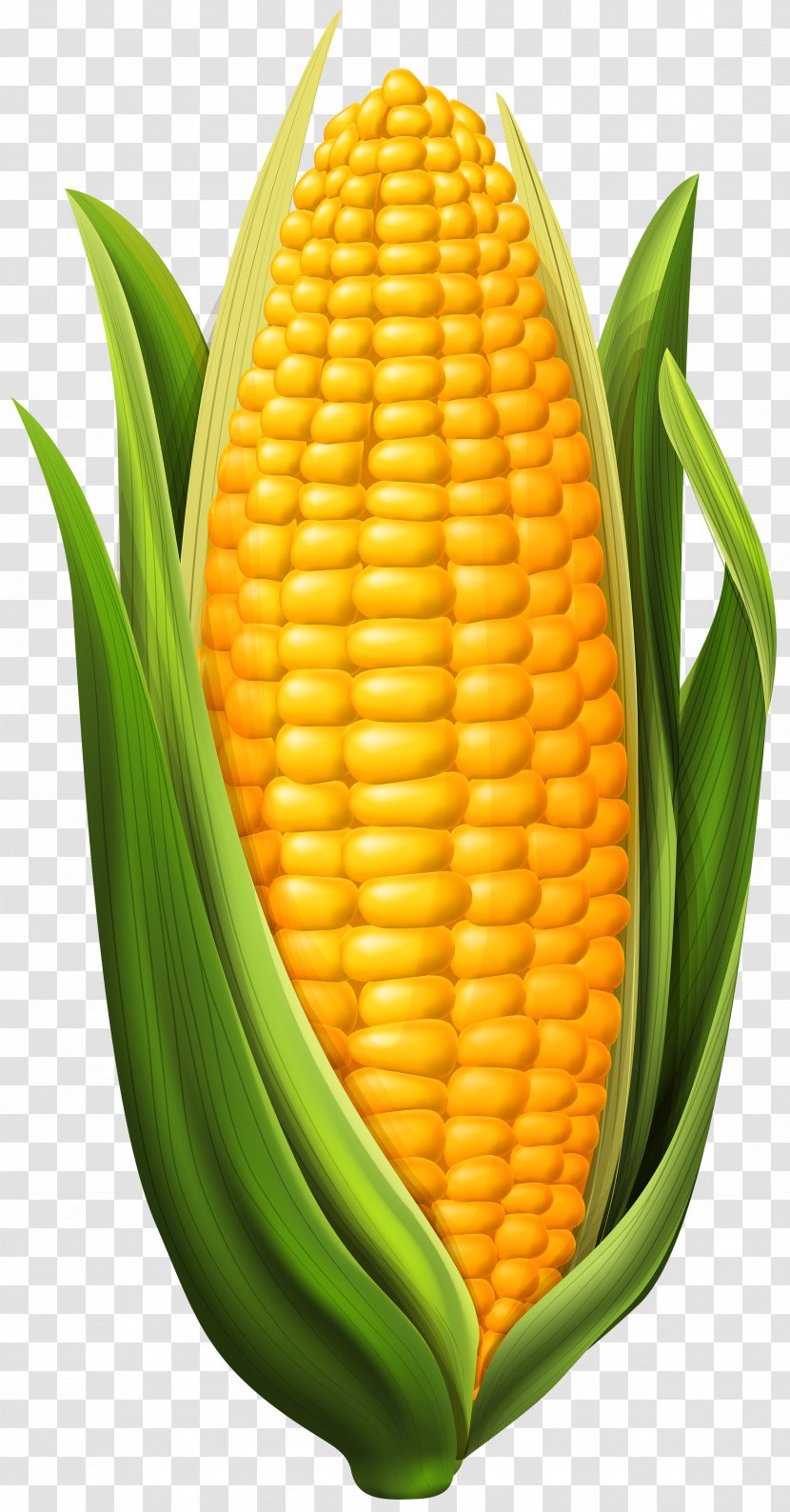 Corn On The Cob Maize Clip Art - Candy - Image Transparent PNG